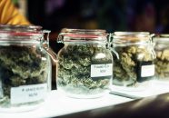 Jars Of Cannabis Flowers